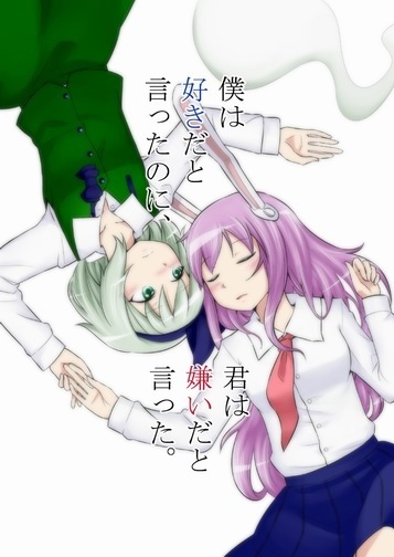 Touhou - I Said I Love You, but You Said You Hate Me (Doujinshi)